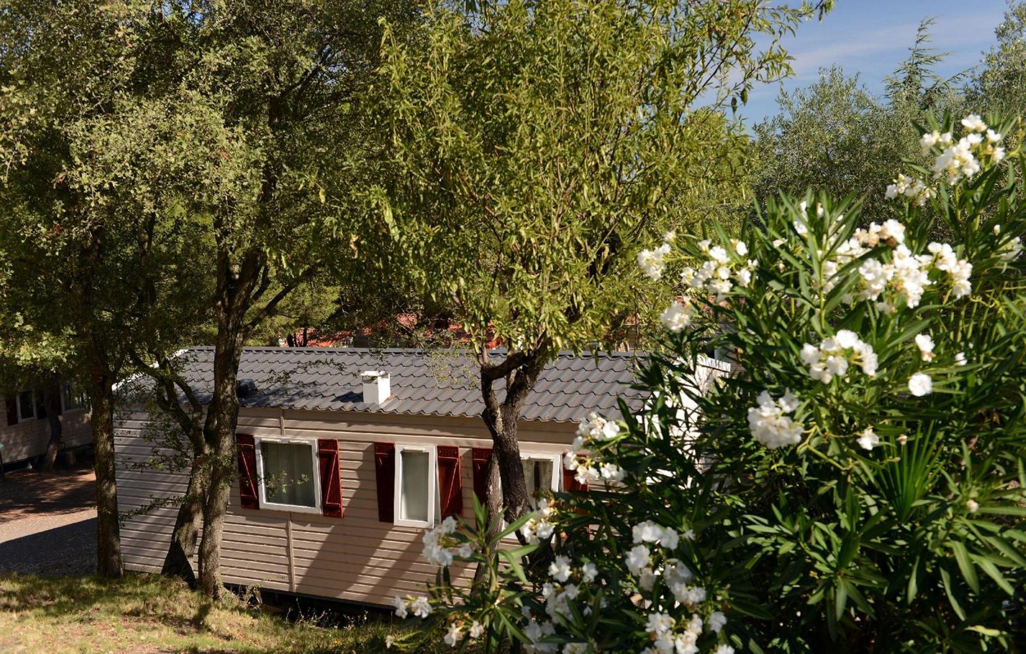 Domaine Résidentiel de Plein Air Odalys La Pinède Agde Extérieur photo