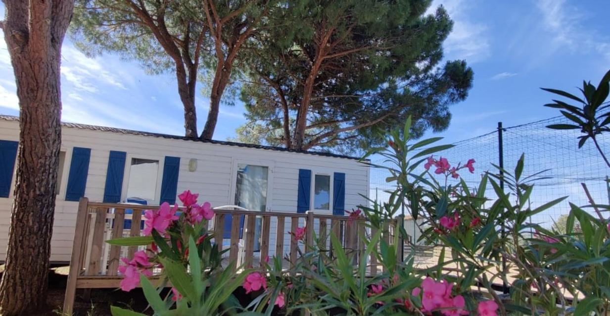 Domaine Résidentiel de Plein Air Odalys La Pinède Agde Extérieur photo