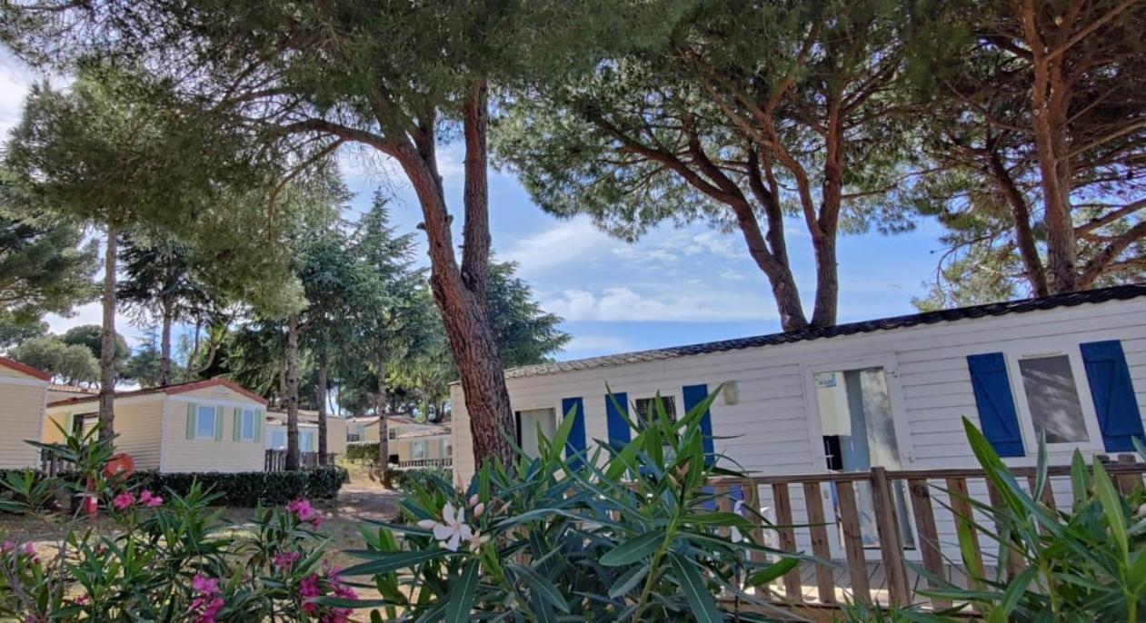 Domaine Résidentiel de Plein Air Odalys La Pinède Agde Extérieur photo