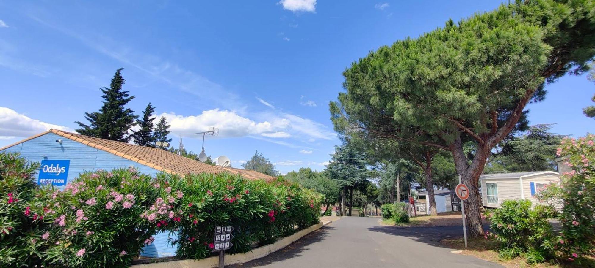 Domaine Résidentiel de Plein Air Odalys La Pinède Agde Extérieur photo